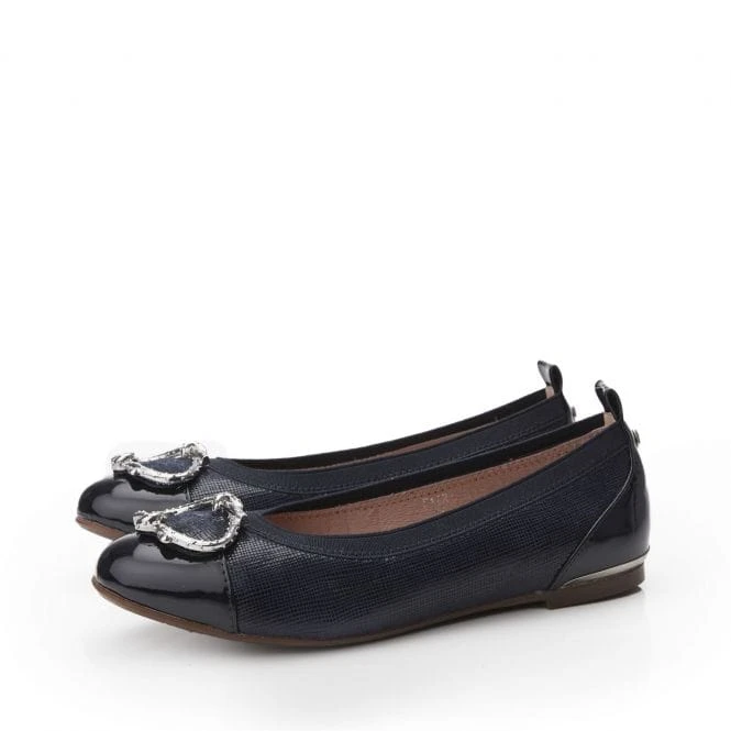 Fairy Navy Lizard 4 Fairy Navy Lizard - Image 2