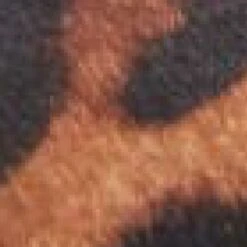 Kinsley Leopard Leopard Pony -Cheap Shoes Store kinsley leopard leopard pony p11785 77843 medium